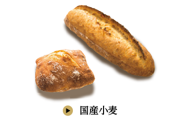 国産小麦